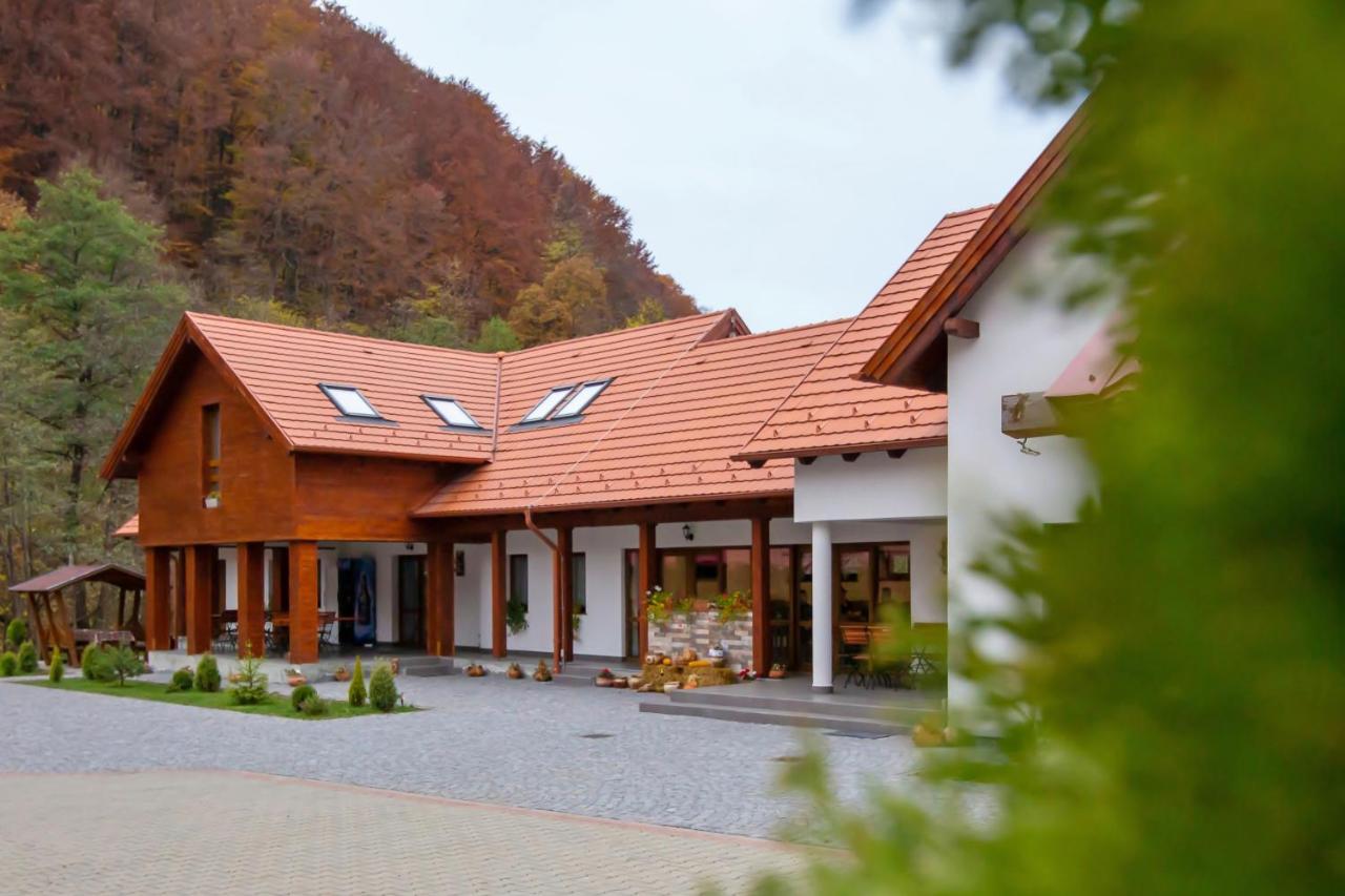 Patakmenti Panzio Spa Corund  Dış mekan fotoğraf