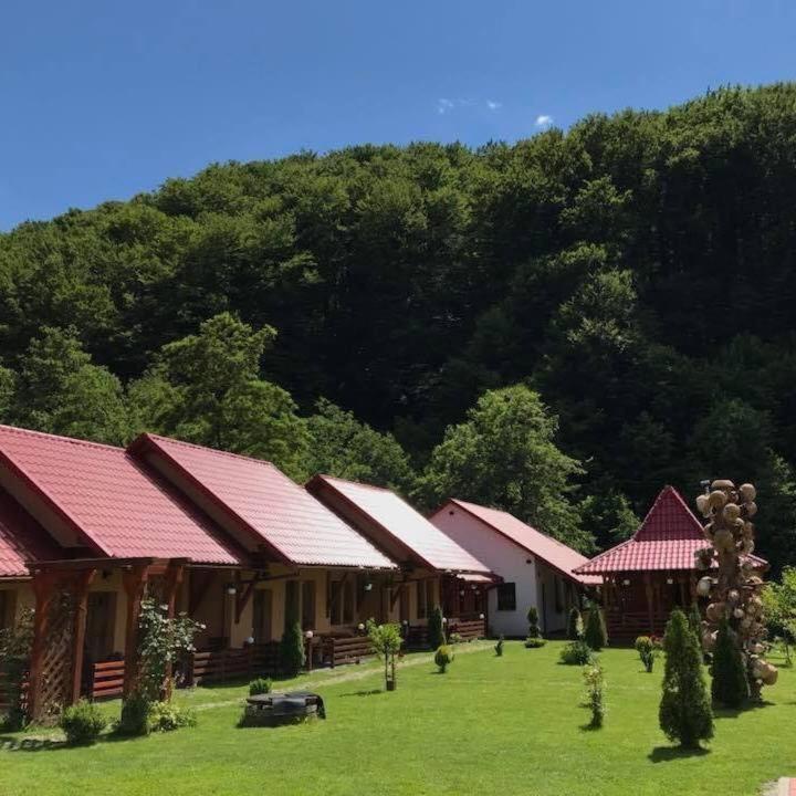 Patakmenti Panzio Spa Corund  Dış mekan fotoğraf