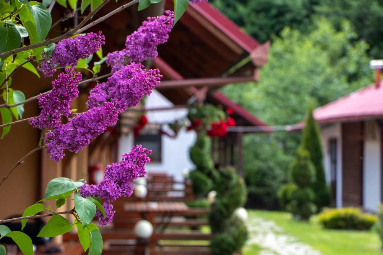 Patakmenti Panzio Spa Corund  Dış mekan fotoğraf
